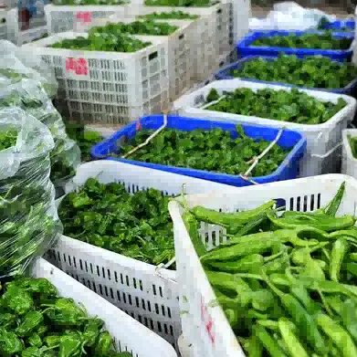 RFID Case Study | Want to Achieve Automated In/Outbound Management for Returnable Containers? See How This Fresh Food Company Did It!